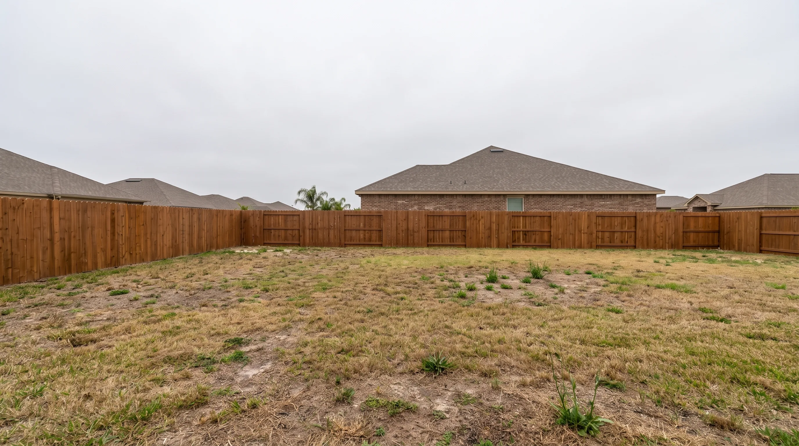 Bare backyard before the pool was built